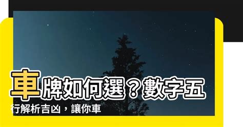 屬馬車牌號碼|選牌技巧知多少！從數字五行解析車牌吉凶